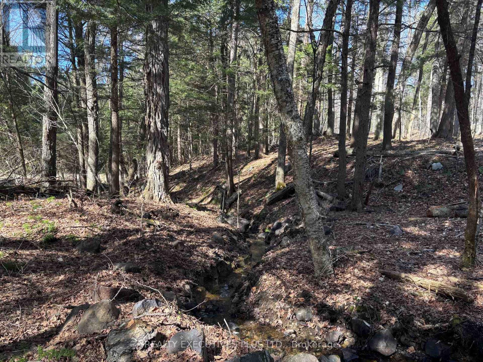 00 Dalhousie 4th Conc B Road, Lanark Highlands, Ontario  K0G 1K0 - Photo 5 - X13083504