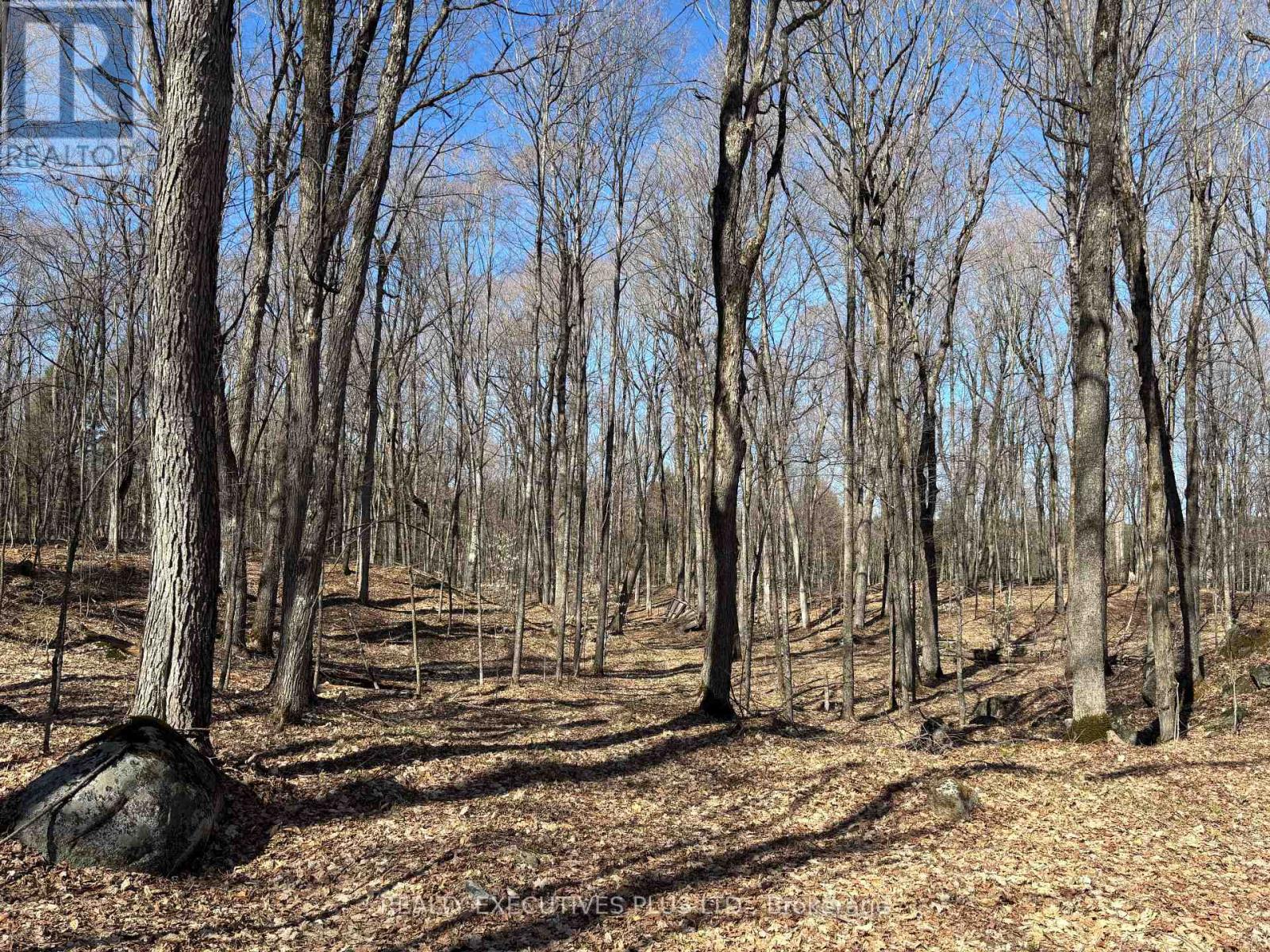 00 Dalhousie 4th Conc B Road, Lanark Highlands, Ontario  K0G 1K0 - Photo 6 - X13083504