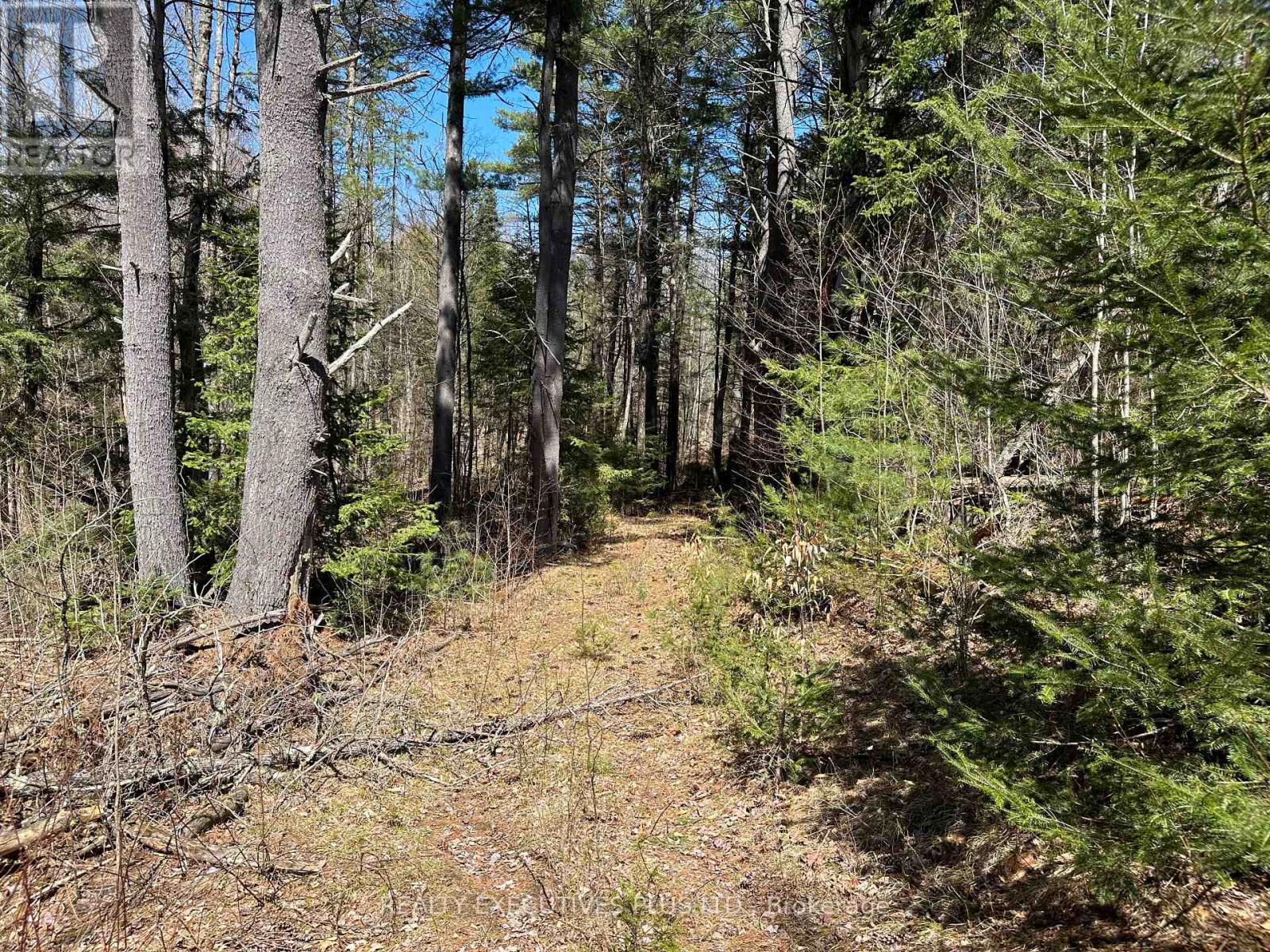 00 Dalhousie 4th Conc B Road, Lanark Highlands, Ontario  K0G 1K0 - Photo 7 - X13083504