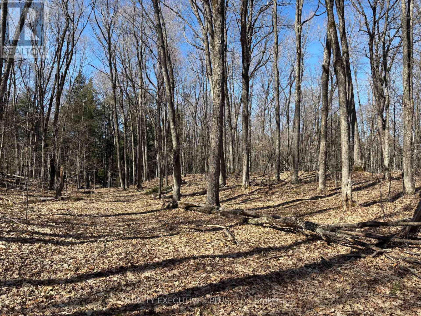 00 Dalhousie 4th Conc B Road, Lanark Highlands, Ontario  K0G 1K0 - Photo 8 - X13083504