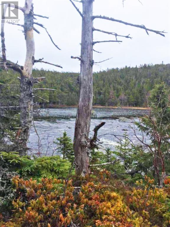 0 Pope's Harbour Road, Pope's Harbour, Newfoundland & Labrador  A0C 1G0 - Photo 18 - 1297033