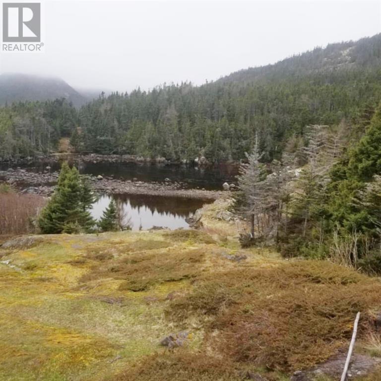 0 Pope's Harbour Road, Pope's Harbour, Newfoundland & Labrador  A0C 1G0 - Photo 20 - 1297033