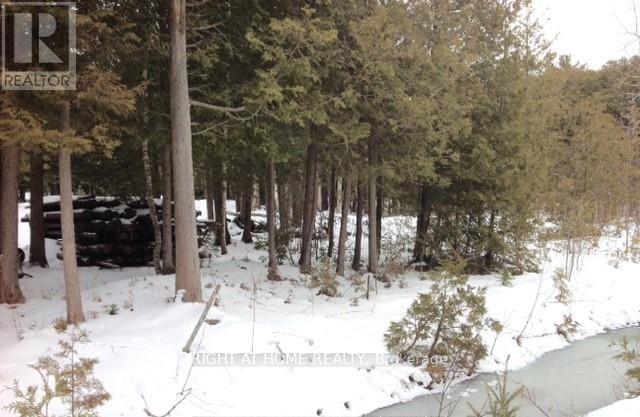 3 Oriole Avenue, South Bruce Peninsula, Ontario  N0H 2T0 - Photo 6 - X12742132