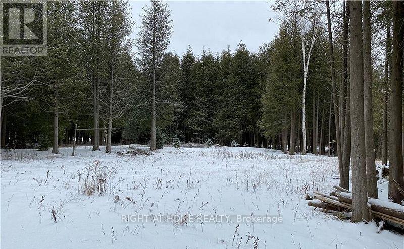 3 Oriole Avenue, South Bruce Peninsula, Ontario  N0H 2T0 - Photo 2 - X12742132