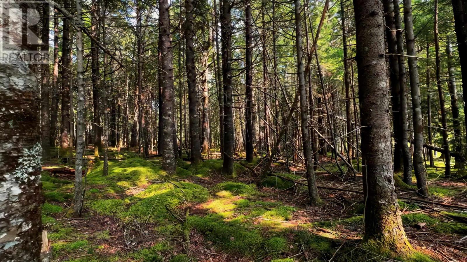 Lot 5 Robert E Road, Kemptville, Nova Scotia  B0W 1Y0 - Photo 13 - 202606692