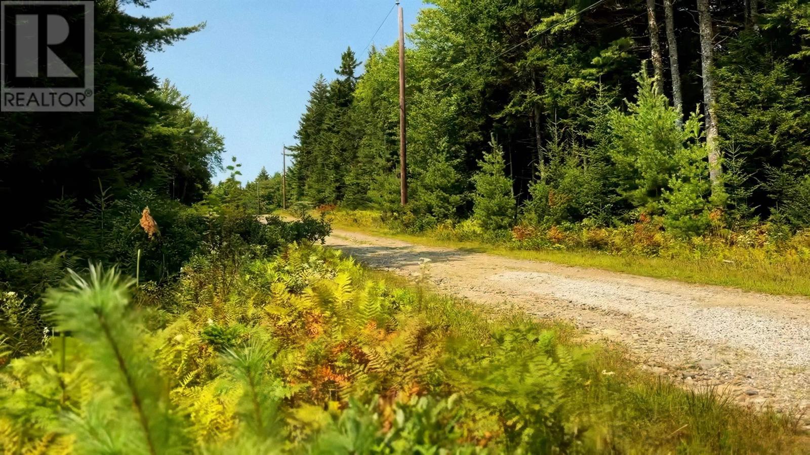 Lot 5 Robert E Road, Kemptville, Nova Scotia  B0W 1Y0 - Photo 8 - 202606692
