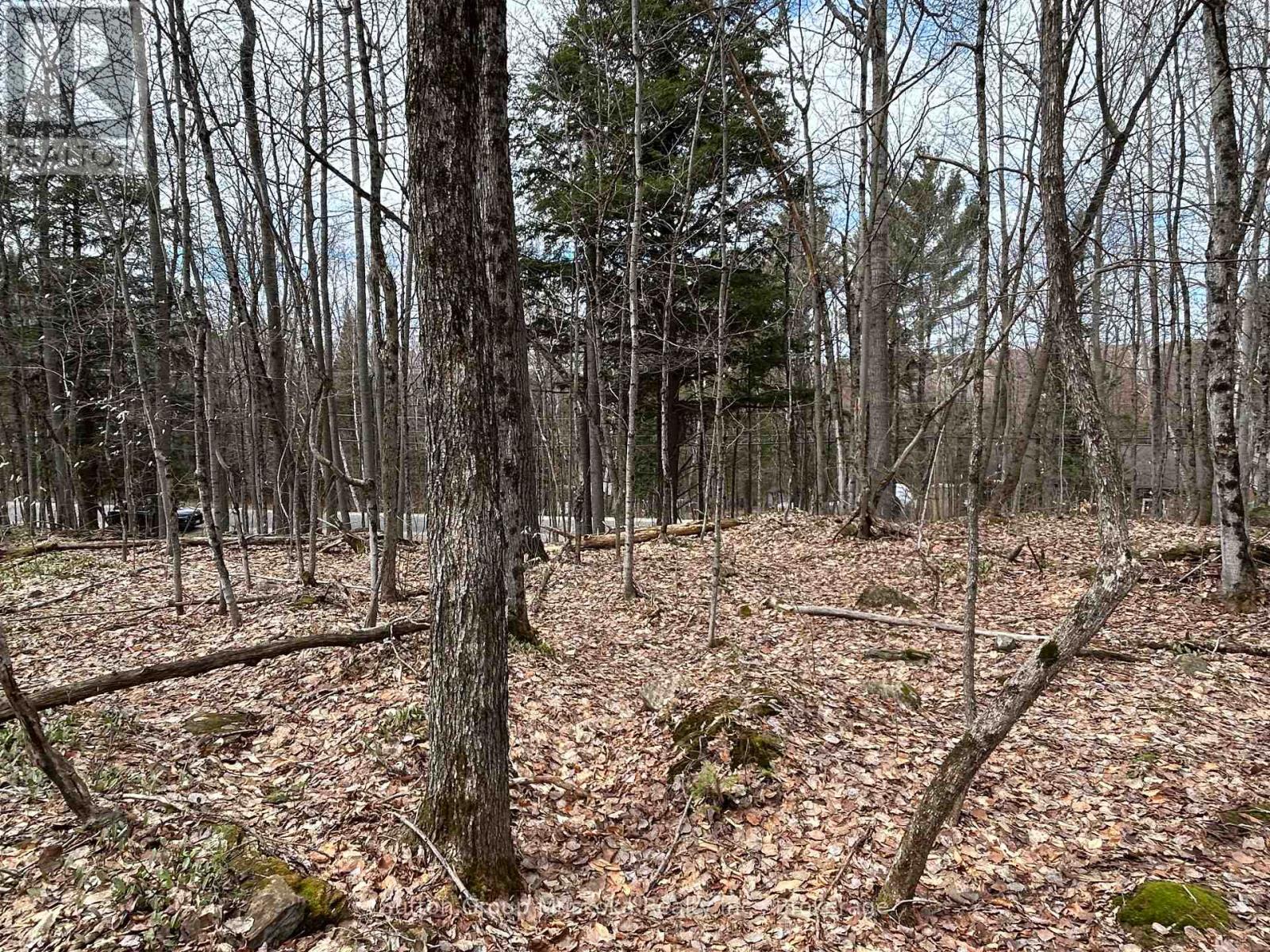 0 Tally Ho Winter Park Road, Lake Of Bays, Ontario  P1H 2J3 - Photo 5 - X12953526