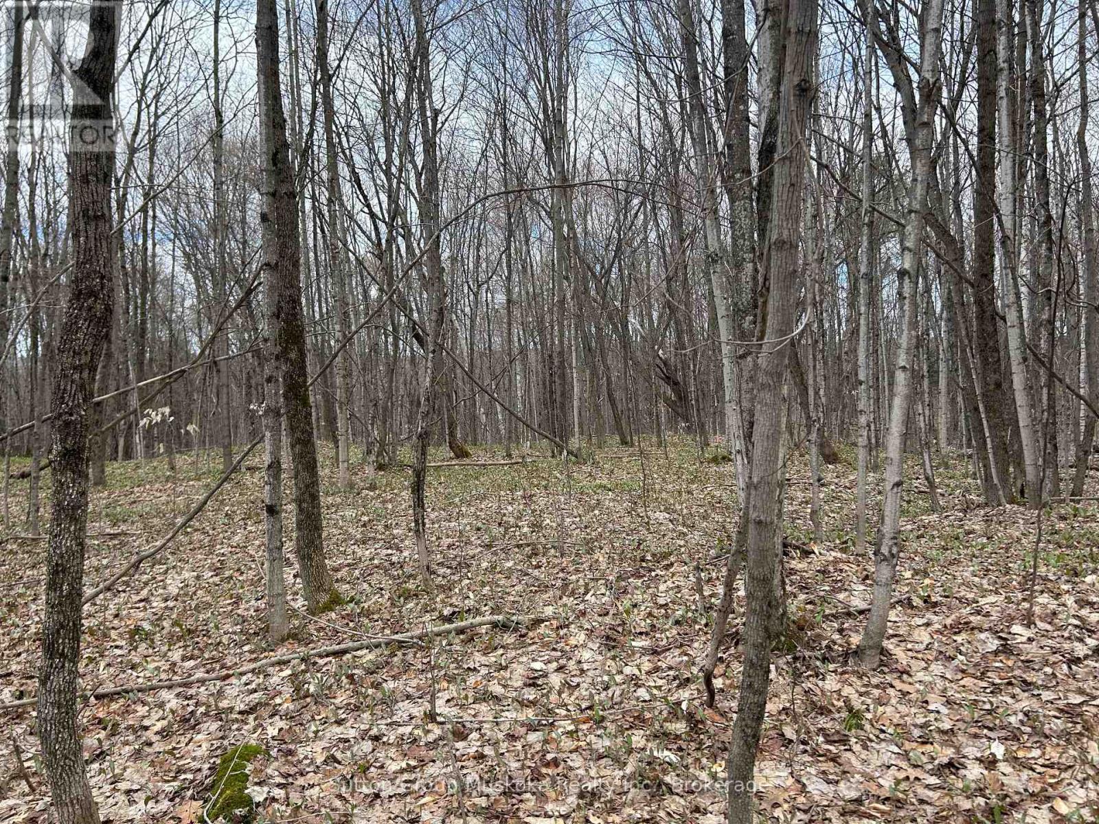 0 Tally Ho Winter Park Road, Lake Of Bays, Ontario  P1H 2J3 - Photo 7 - X12953526