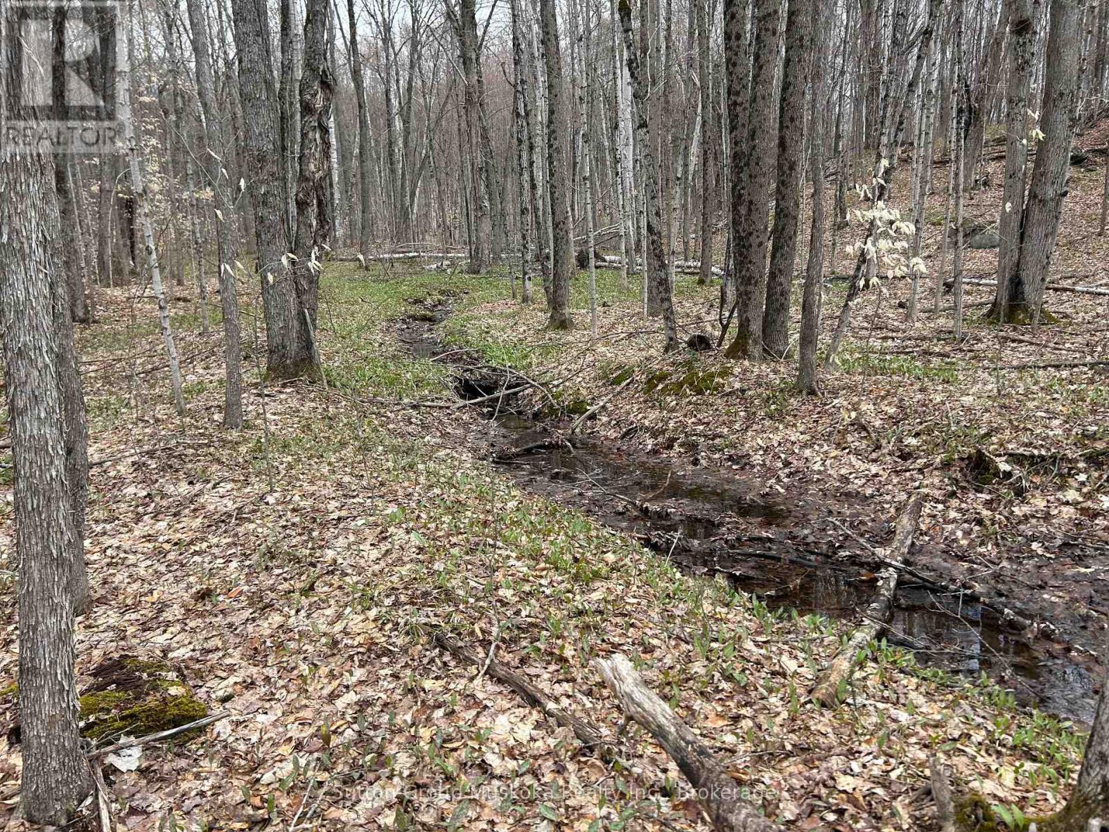 0 Tally Ho Winter Park Road, Lake Of Bays, Ontario  P1H 2J3 - Photo 6 - X12953526