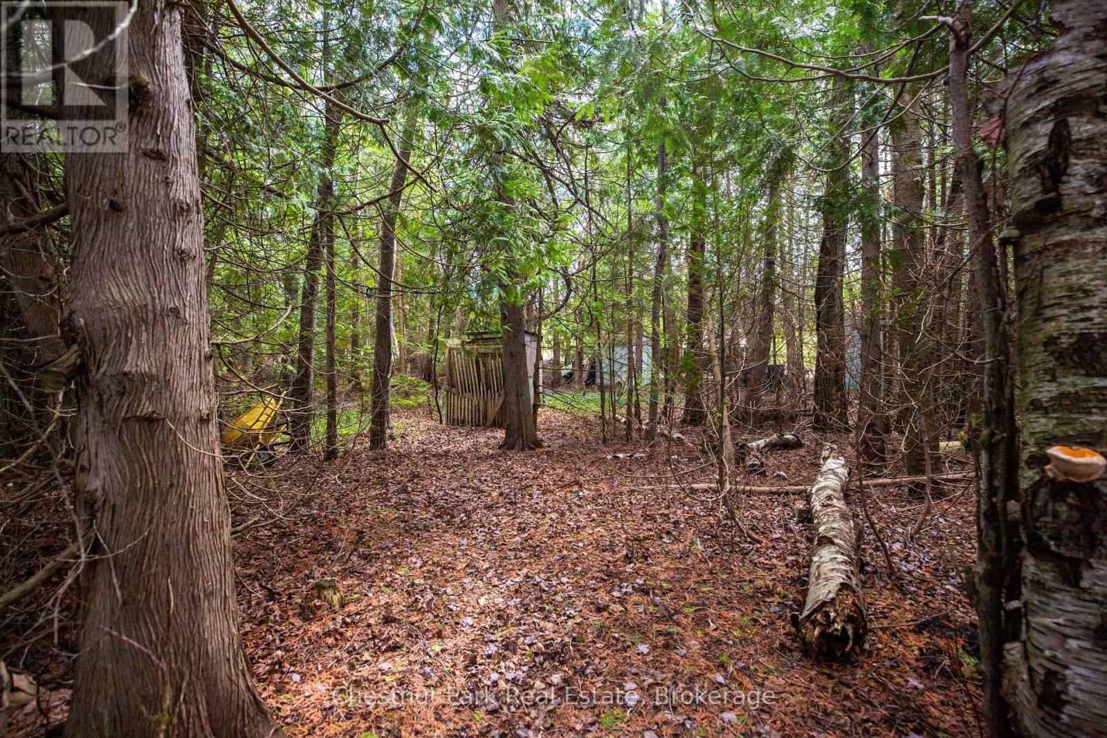154 Myles Bay Shore Road, Northern Bruce Peninsula, Ontario  N0H 1W0 - Photo 45 - X12887284