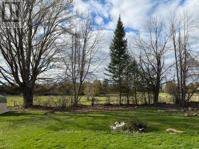 601 Alpine Lake Road, Trent Lakes, Ontario  K0M 1A0 - Photo 11 - X13083766