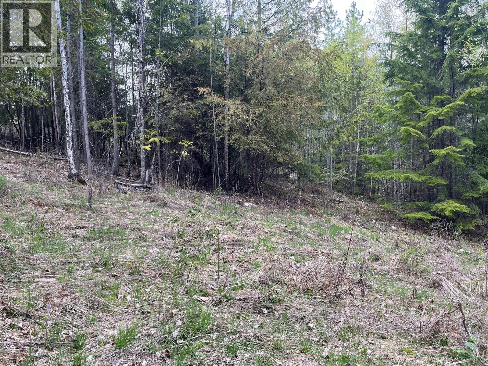 Lot 2 BALFOUR Avenue, Kaslo, British Columbia