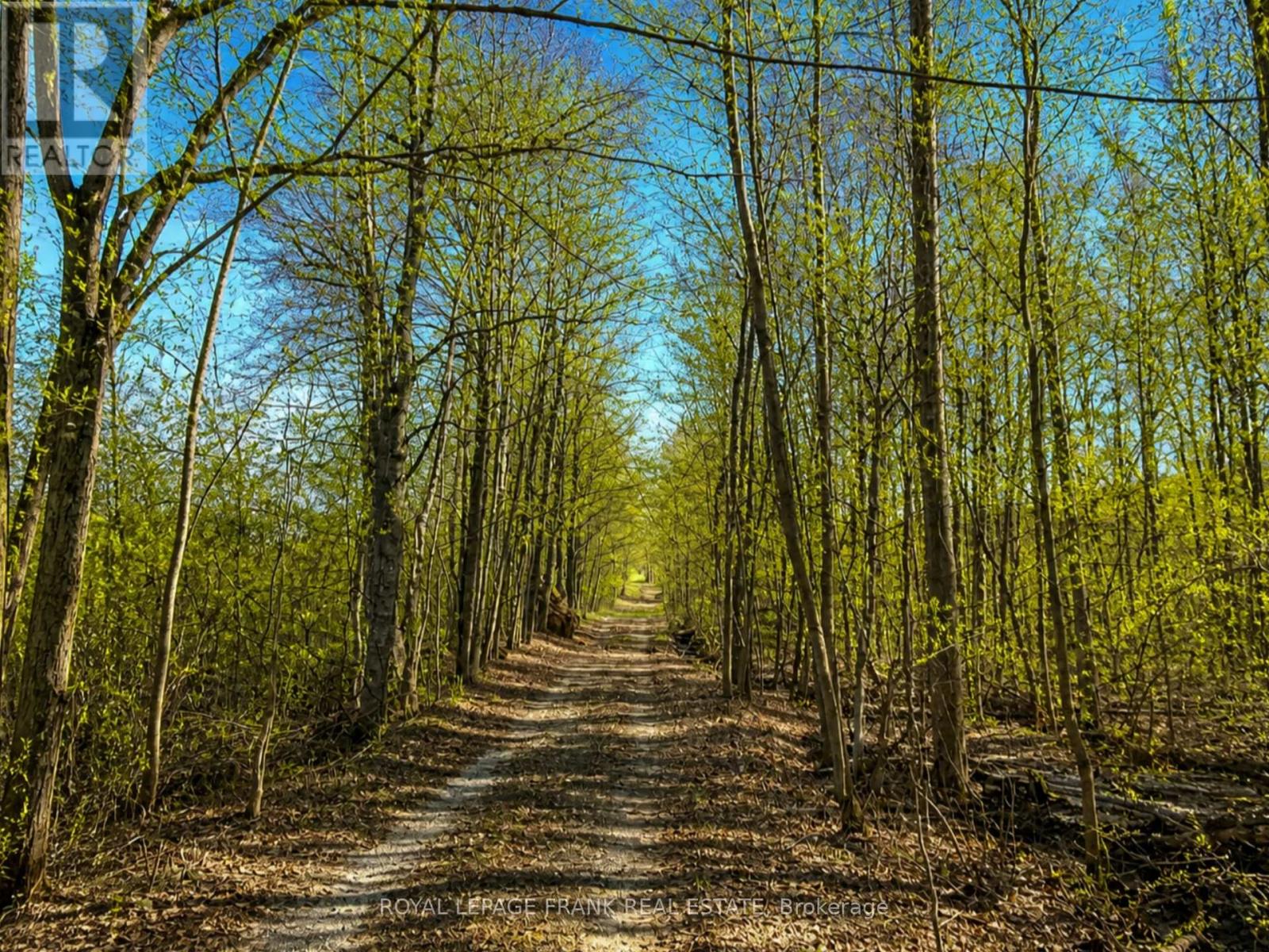 929 Baxter Road, Trent Hills, Ontario  K0L 1Y0 - Photo 25 - X13081322