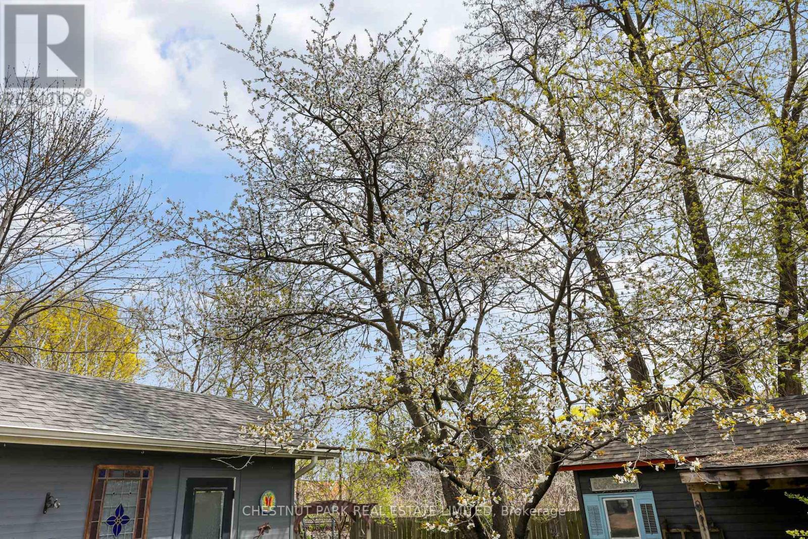 27 Cedarcrest Drive, Toronto, Ontario  M9A 2V4 - Photo 21 - W13084154