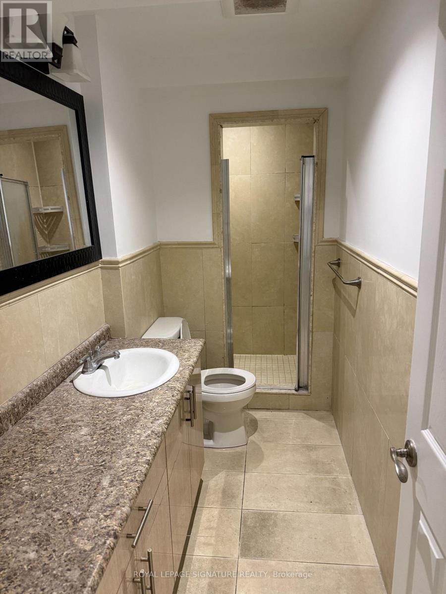 Basement - 218 Via Campanile Road, Vaughan, Ontario  L4H 3J8 - Photo 3 - N13084256