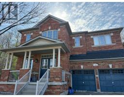 BASEMENT - 218 VIA CAMPANILE ROAD, Vaughan, Ontario