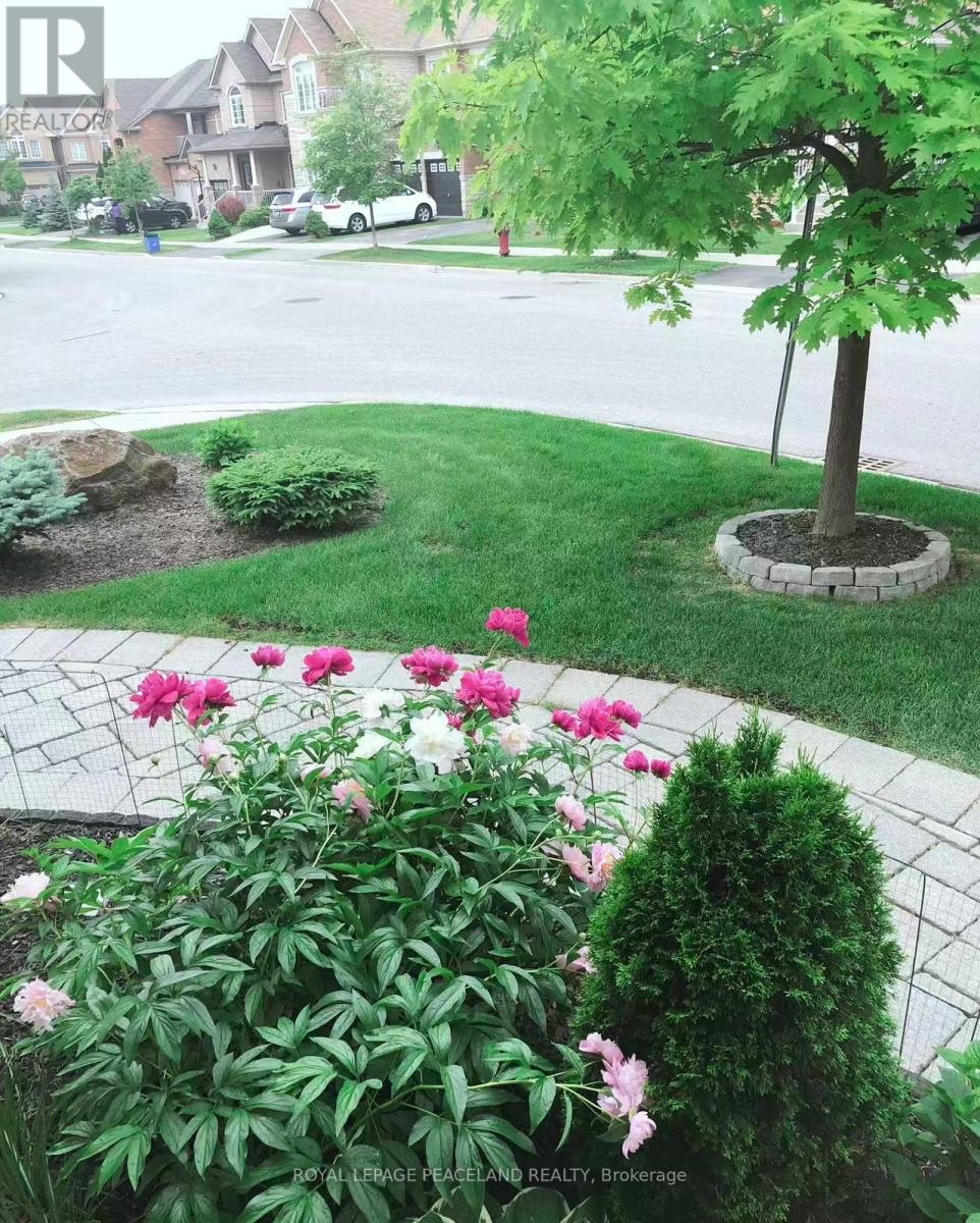 23 Halldorson Avenue, Aurora, Ontario  L4G 7Z1 - Photo 21 - N13084482