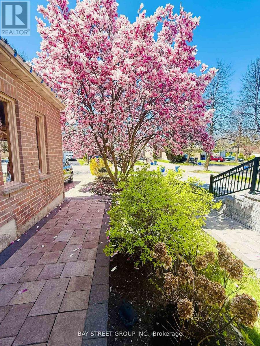 43 Bluesky Crescent, Richmond Hill, Ontario  L4C 8J2 - Photo 3 - N13084528