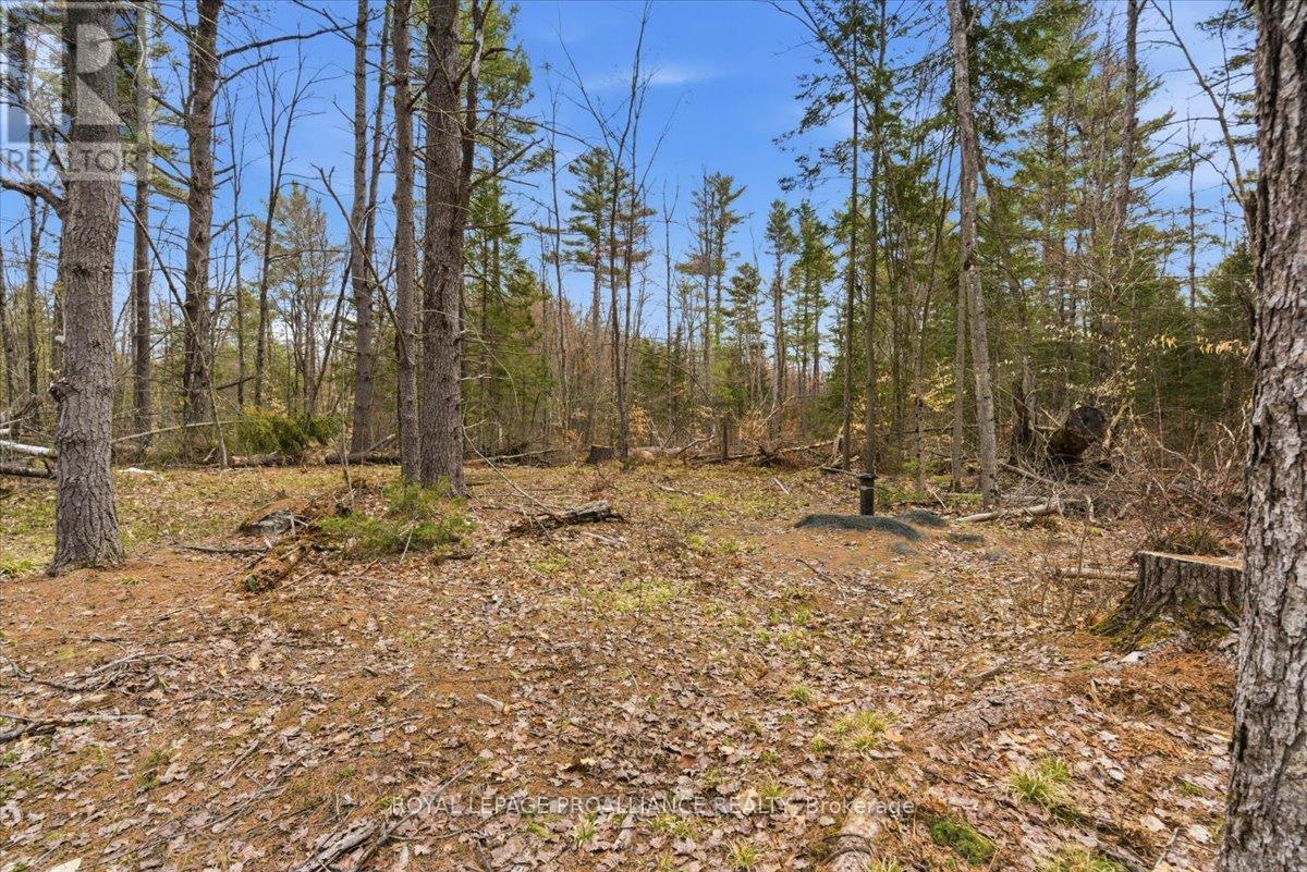265 Addington Road 4, Frontenac, Ontario  K0H 1K0 - Photo 6 - X12848104