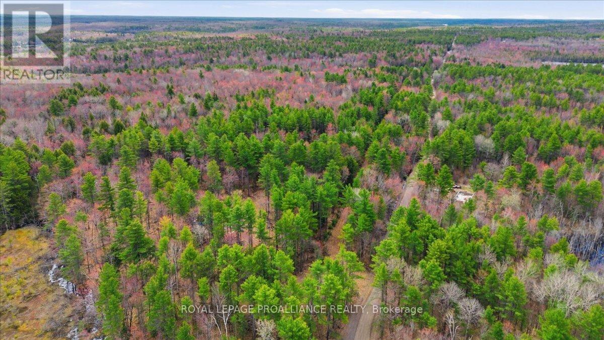 265 Addington Road 4, Frontenac, Ontario  K0H 1K0 - Photo 16 - X12848104