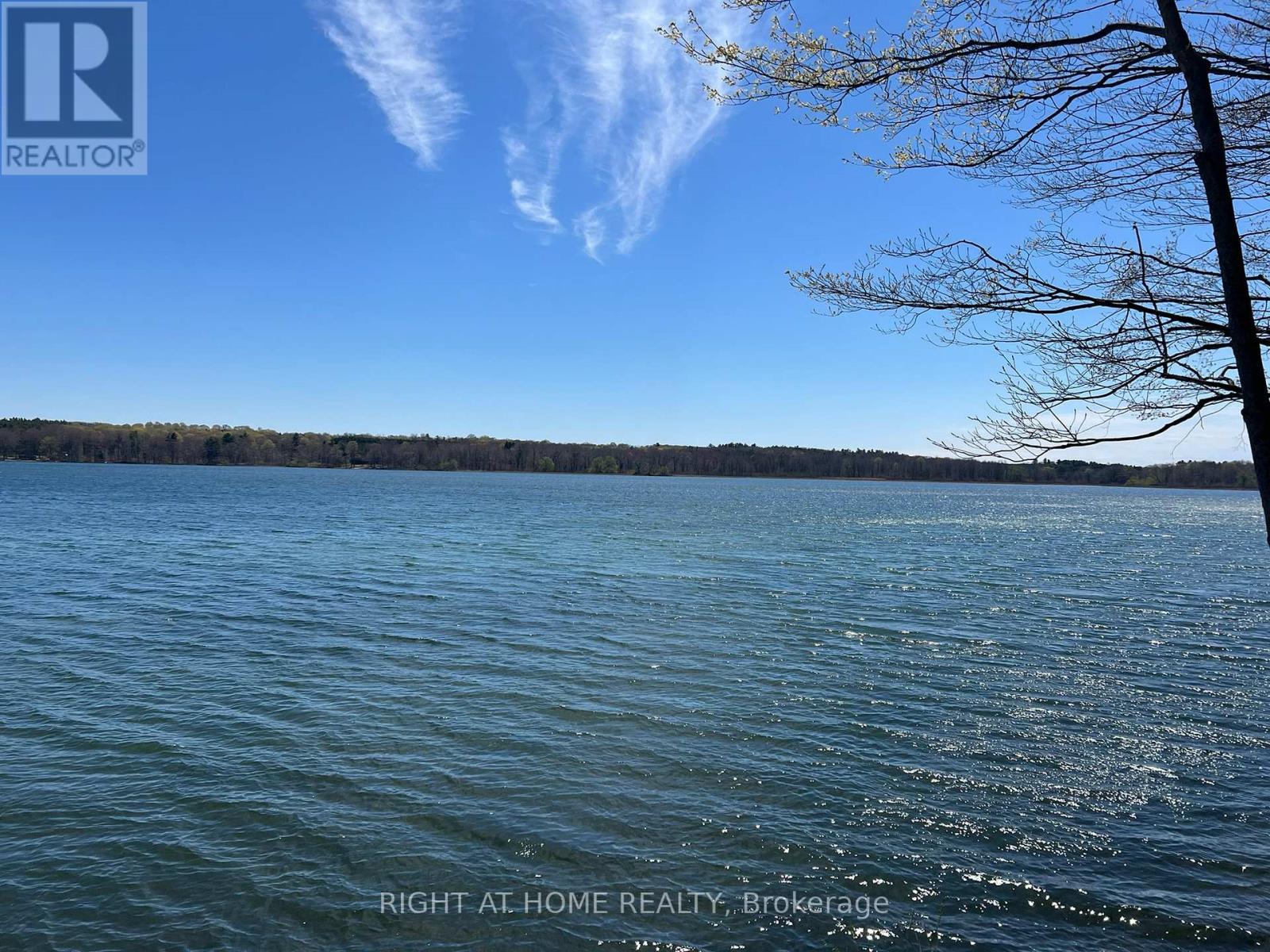 Lot 5 Mccarthy Lane, Prince Edward County (North Marysburg Ward), Ontario  K0K 2T0 - Photo 12 - X13084682