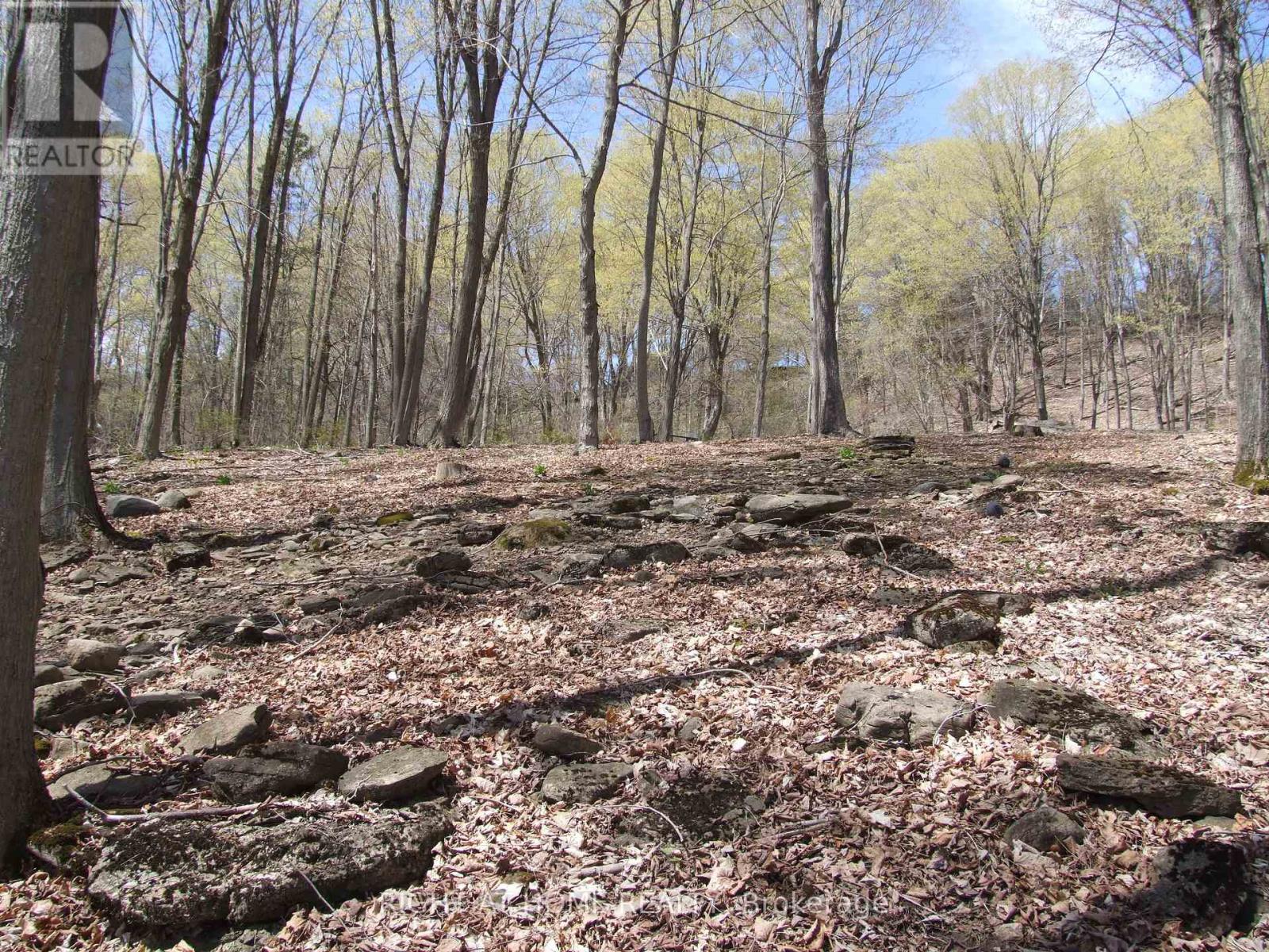 Lot 5 Mccarthy Lane, Prince Edward County (North Marysburg Ward), Ontario  K0K 2T0 - Photo 18 - X13084682