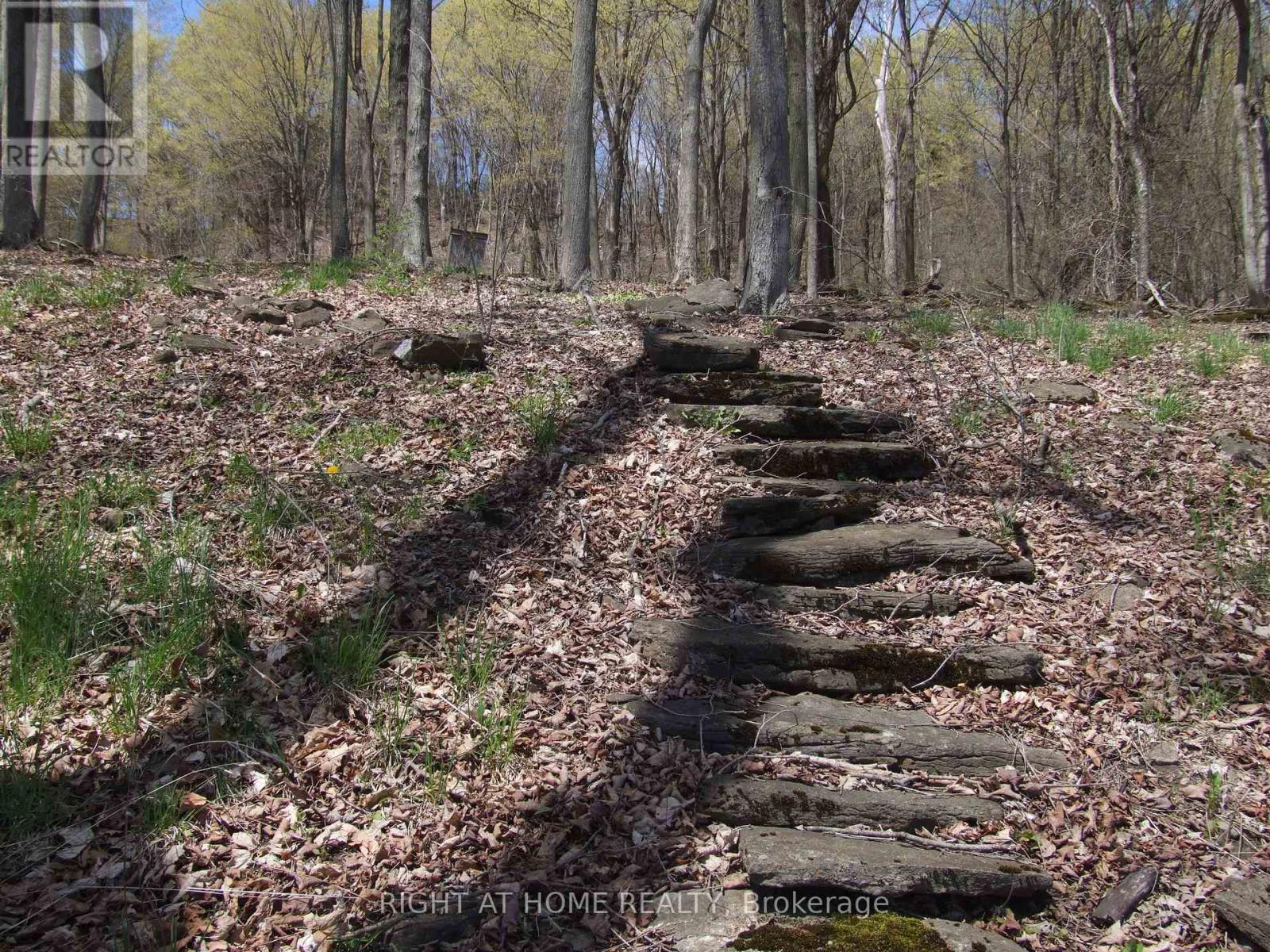 Lot 5 Mccarthy Lane, Prince Edward County (North Marysburg Ward), Ontario  K0K 2T0 - Photo 19 - X13084682