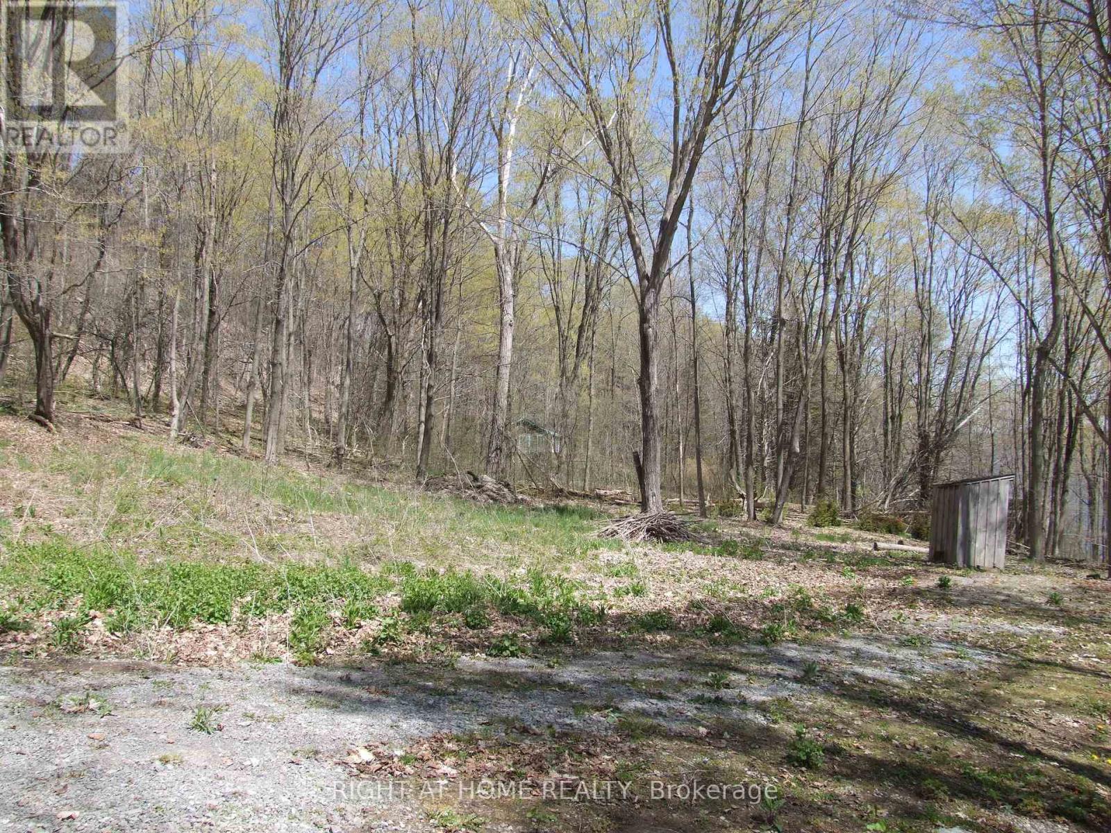 Lot 5 Mccarthy Lane, Prince Edward County (North Marysburg Ward), Ontario  K0K 2T0 - Photo 24 - X13084682