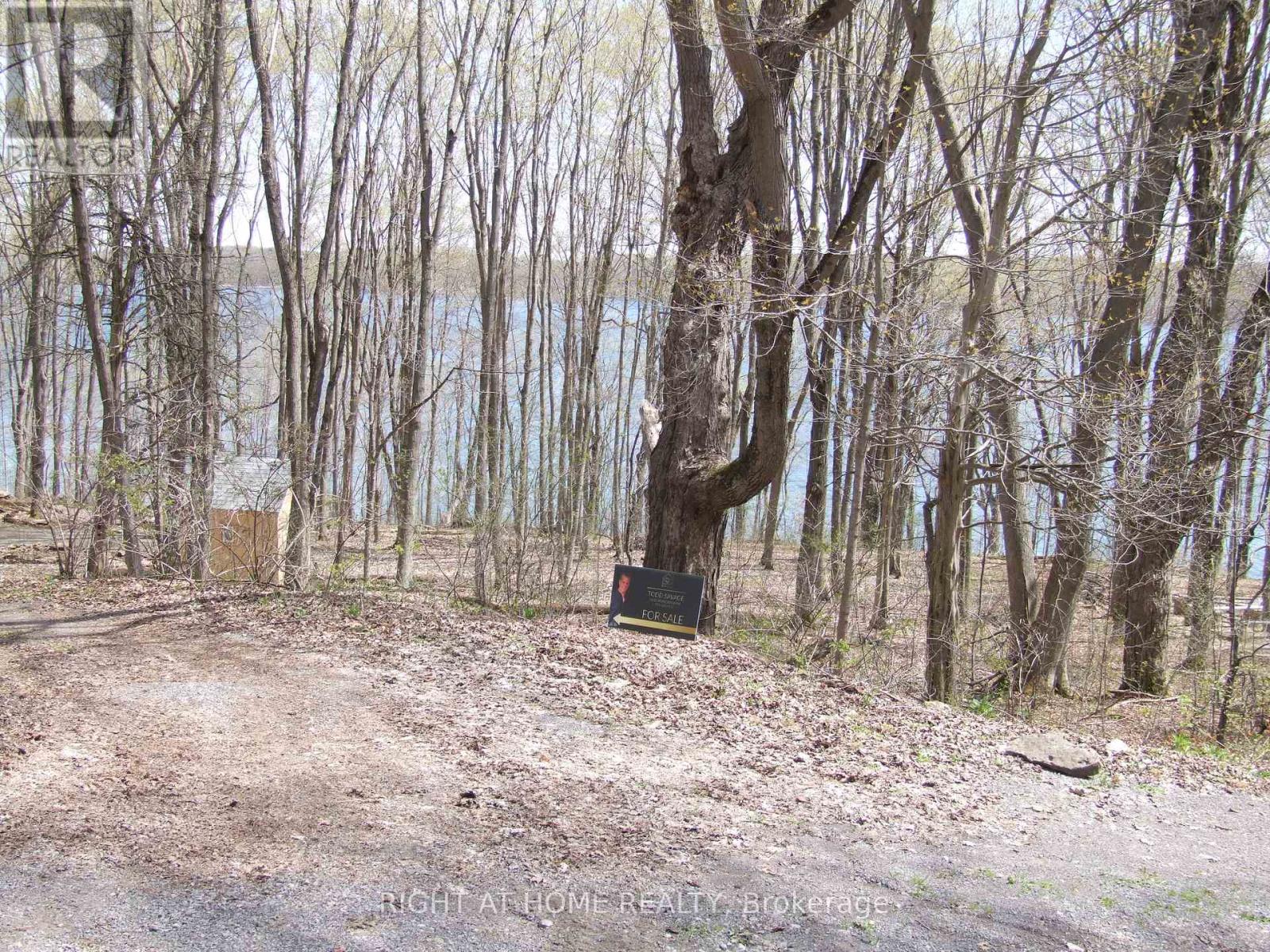 Lot 5 Mccarthy Lane, Prince Edward County (North Marysburg Ward), Ontario  K0K 2T0 - Photo 25 - X13084682