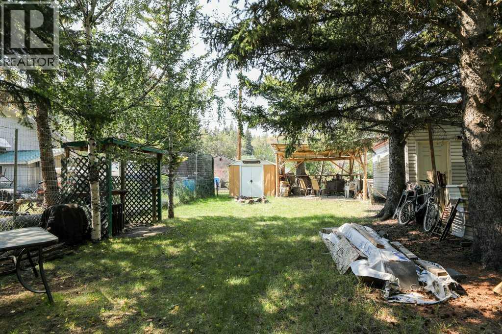 1310 83 Street, Coleman, Alberta  T0K 0M0 - Photo 26 - A2286478