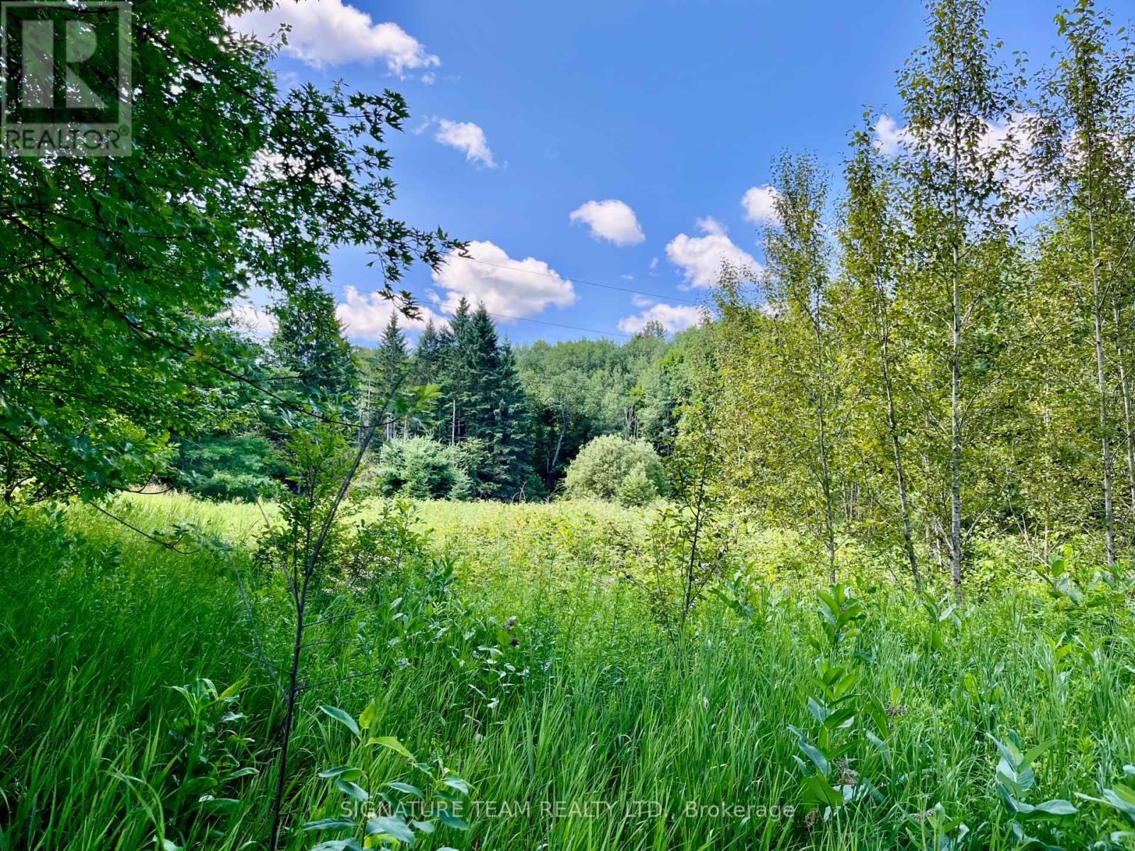 19626 41 Highway, Addington Highlands, Ontario  K0H 1K0 - Photo 32 - X13084688