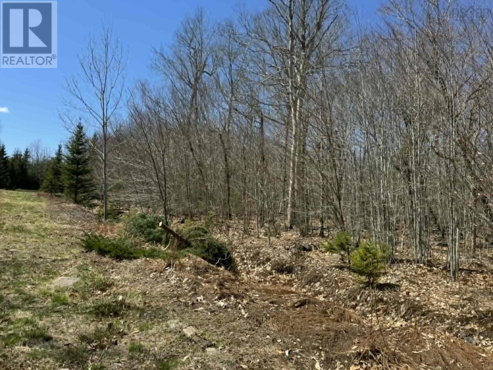 Lot R-10 Kill Dog Cove Road, Parkdale, Nova Scotia