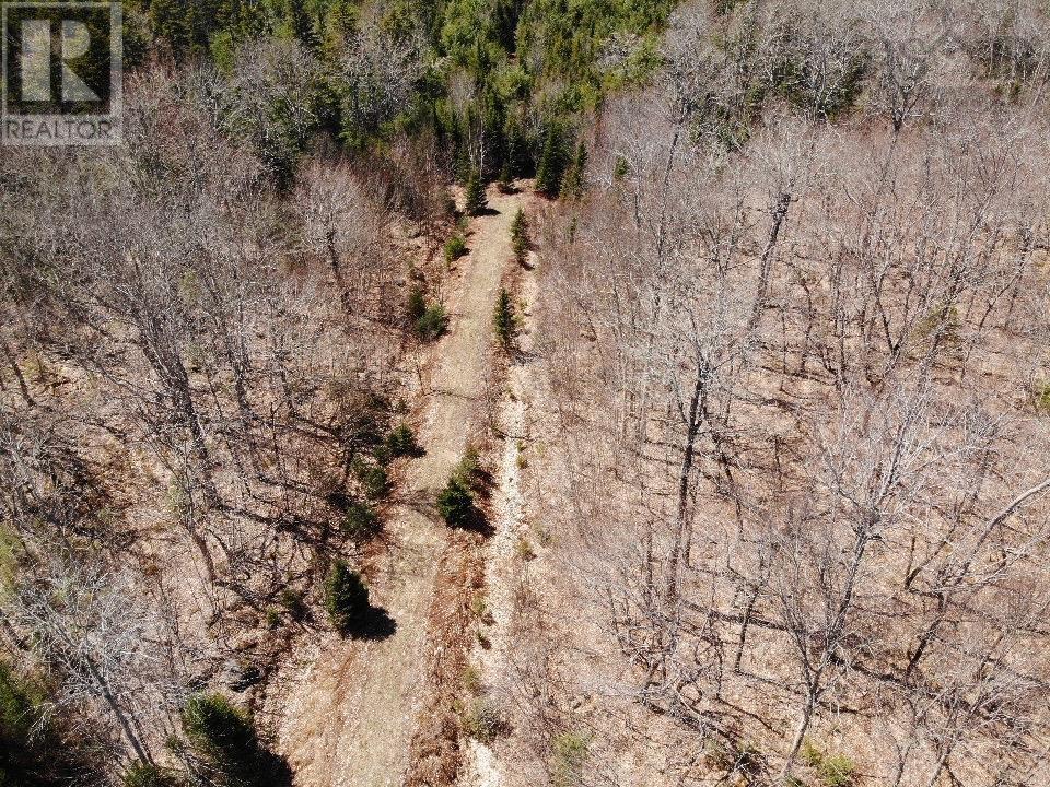Lot R-10 Kill Dog Cove Road, Parkdale, Nova Scotia  B0R 1A0 - Photo 2 - 202609739
