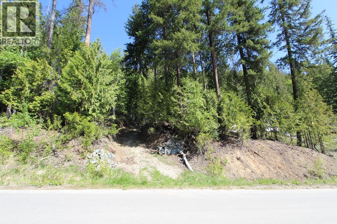 7513 Castle Heights, Anglemont, British Columbia