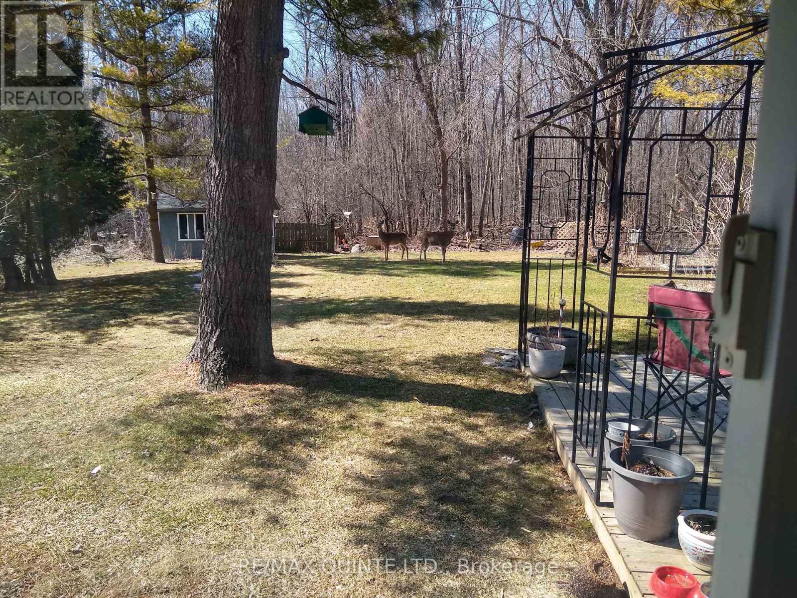 527 Montrose Road, Quinte West, Ontario  K8R 1B2 - Photo 31 - X12902326