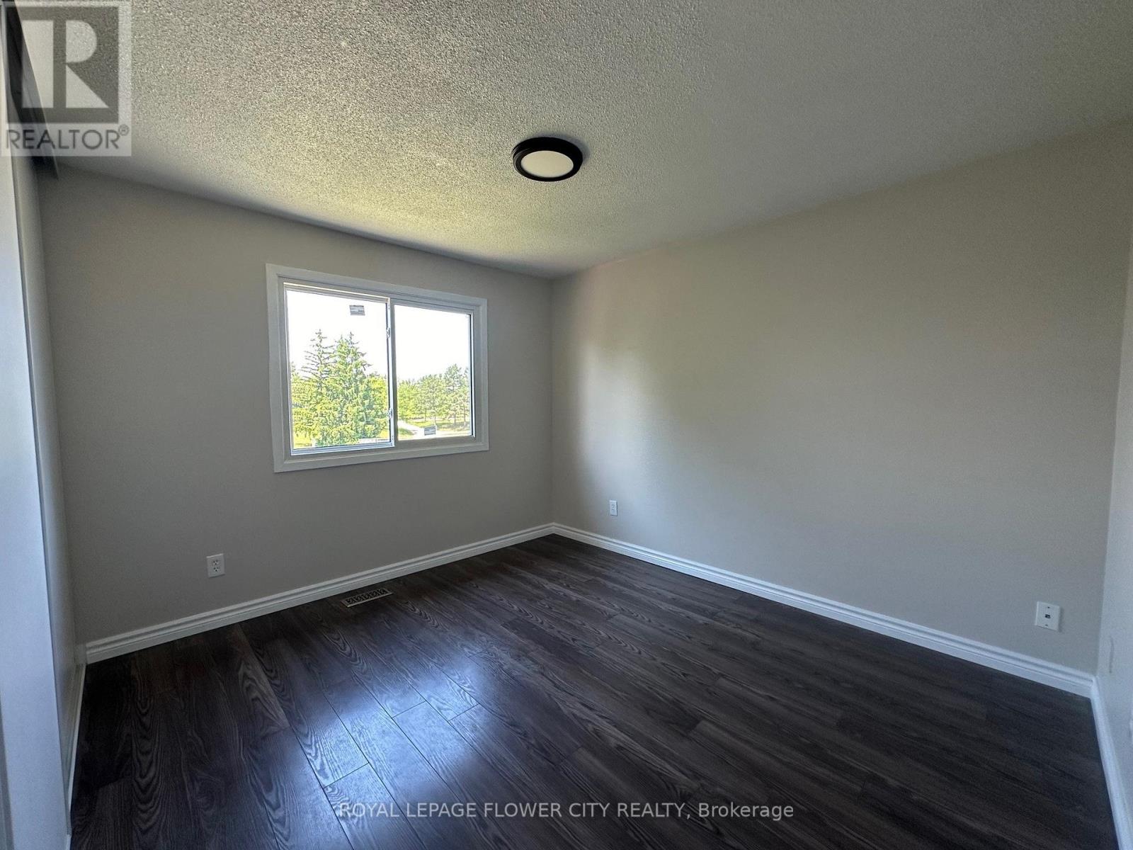 Bsmt - 415 Hansen Road N, Brampton, Ontario  L6V 3T5 - Photo 12 - W13084948