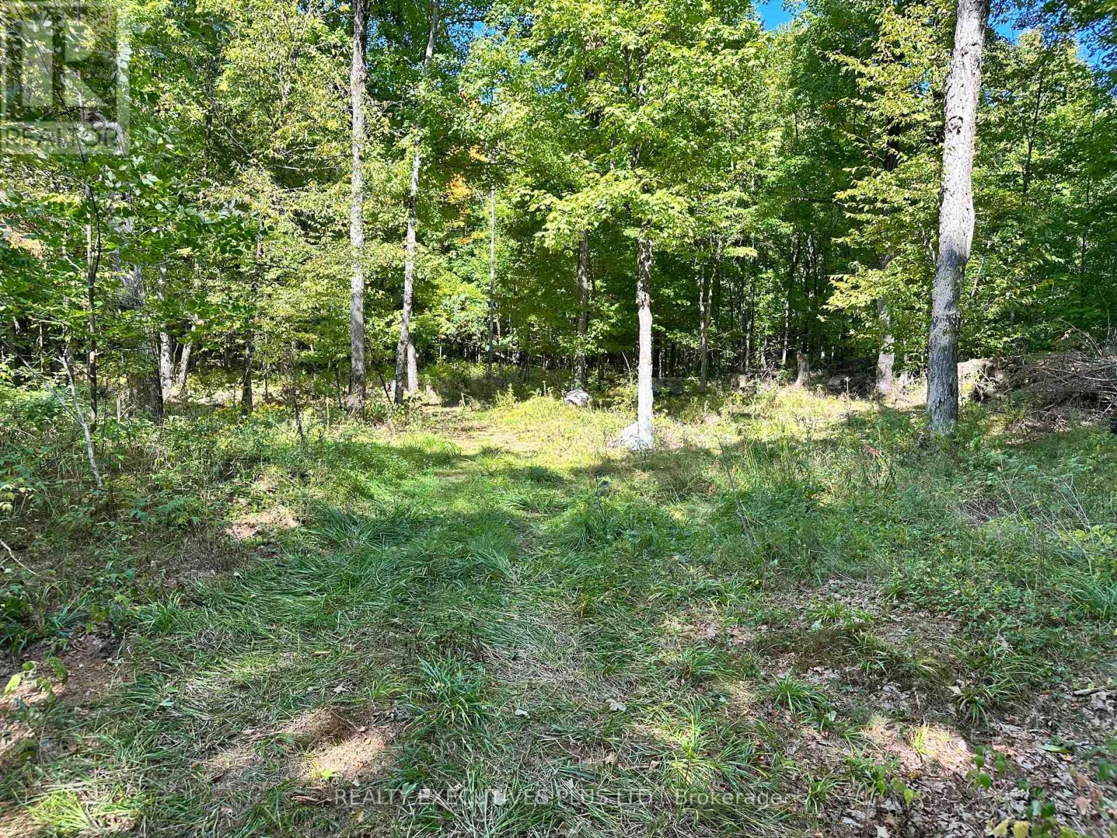 00 Dalhousie 4th Conc B Road, Lanark Highlands, Ontario  K0G 1K0 - Photo 37 - X13083504