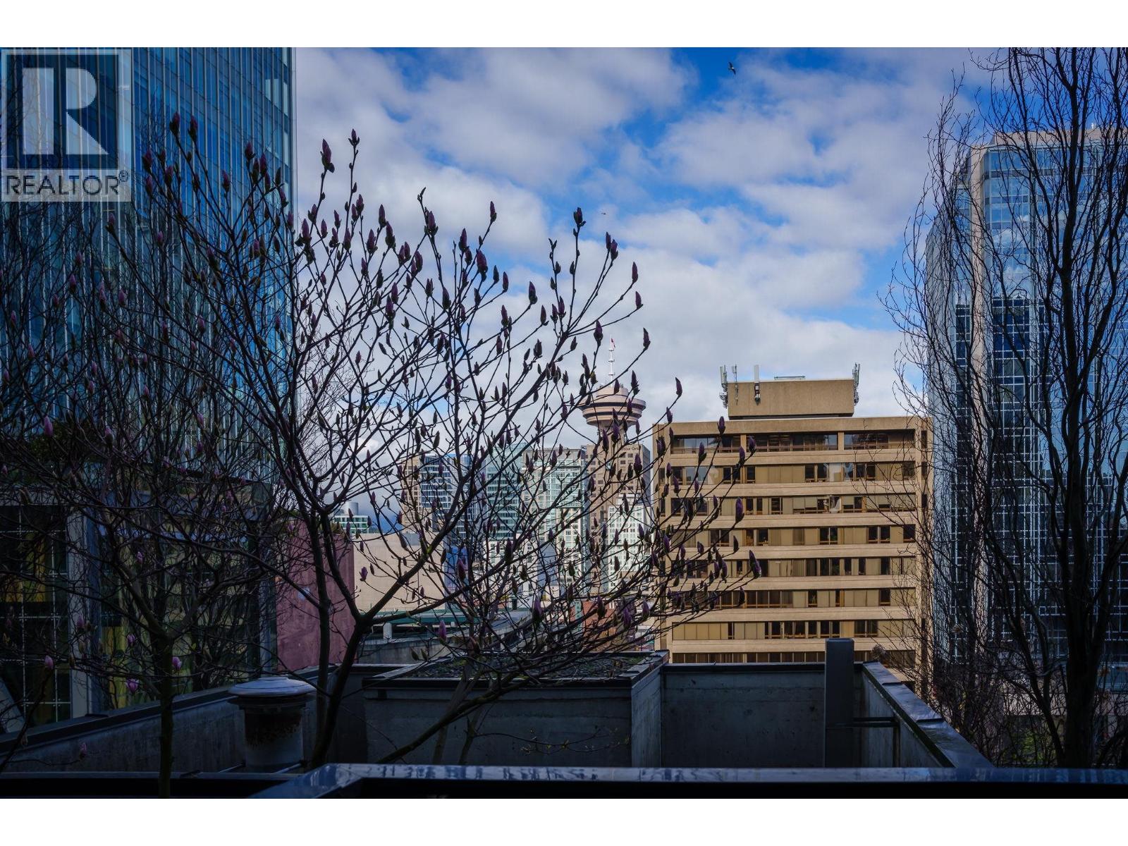 1107 788 Richards Street, Vancouver, British Columbia  V6B 0C7 - Photo 10 - R3119471