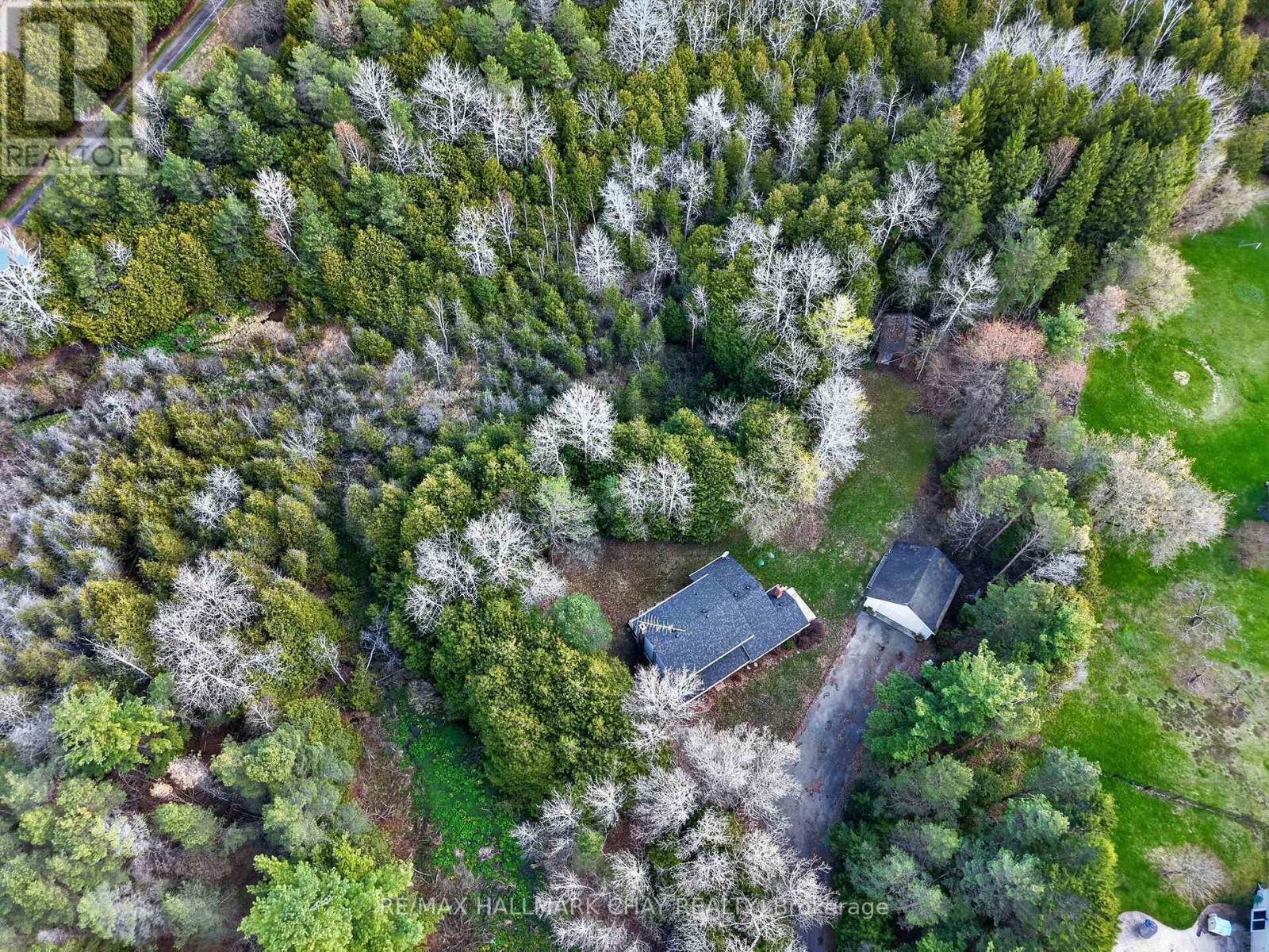 2045 Concession Rd 7, Adjala-Tosorontio, Ontario  L0G 1W0 - Photo 31 - N13085342