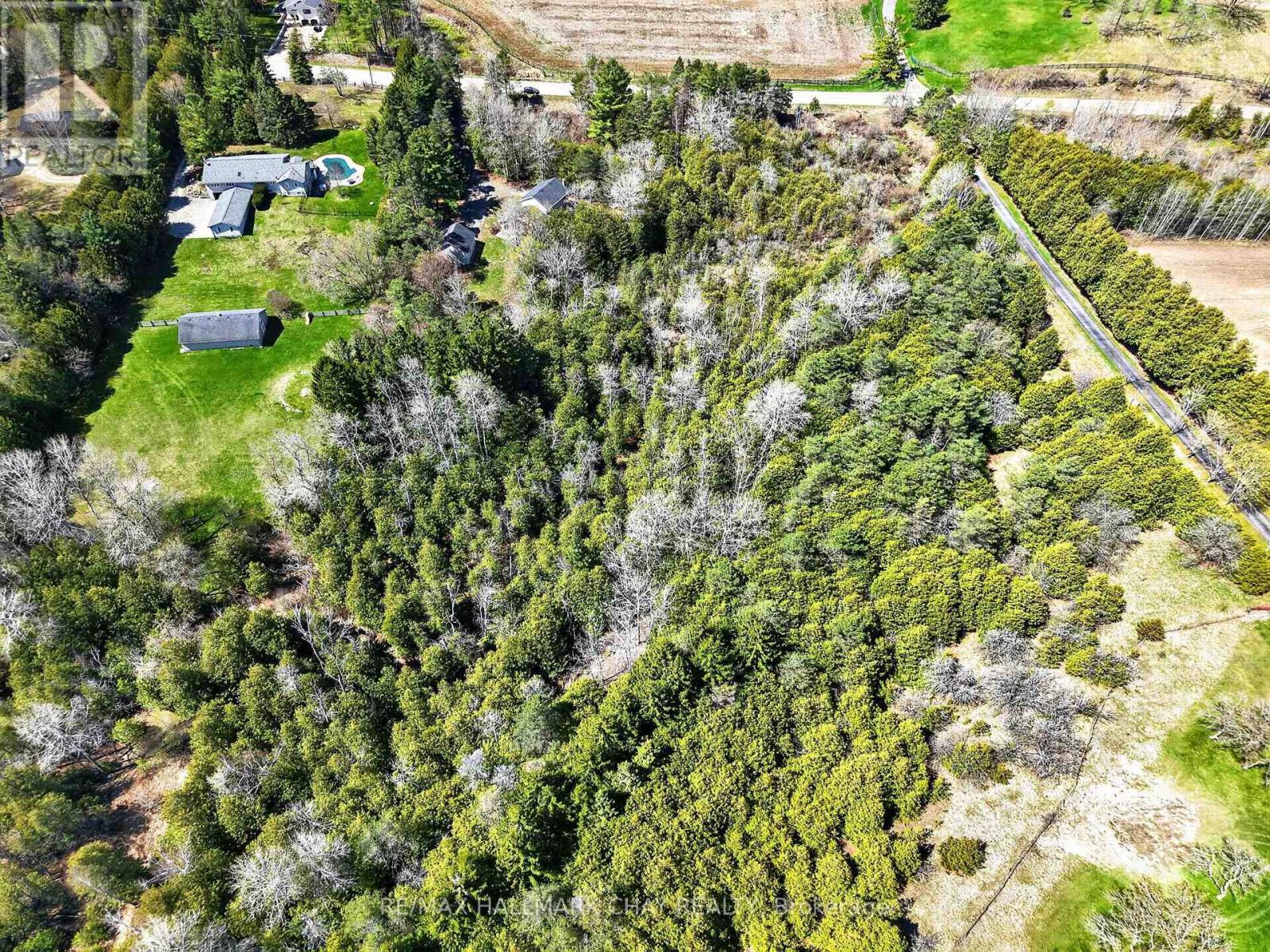 2045 Concession Rd 7, Adjala-Tosorontio, Ontario  L0G 1W0 - Photo 32 - N13085342