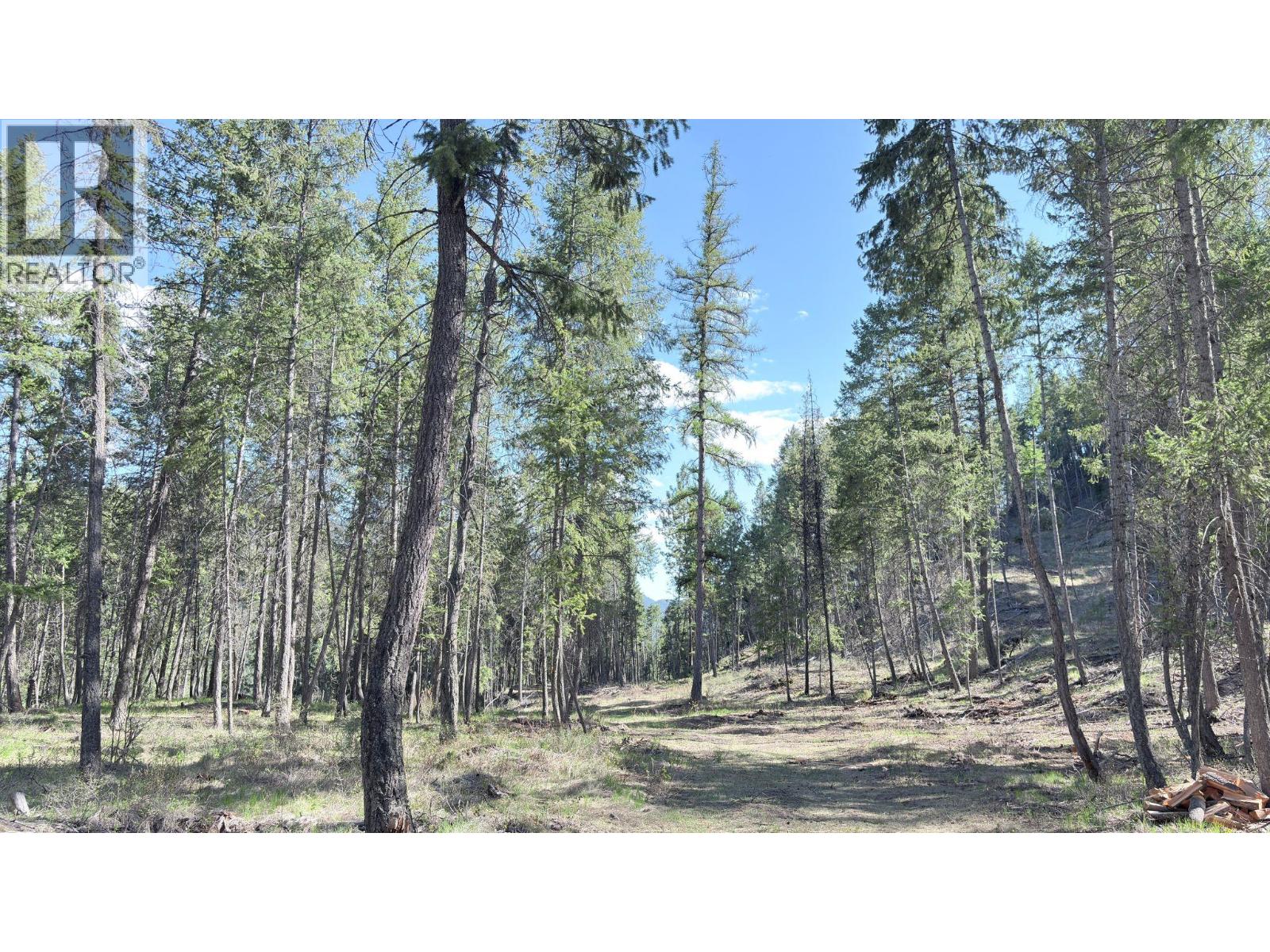 5600 Christian Valley Road, Westbridge, British Columbia  V0H 1Y0 - Photo 6 - 10374716