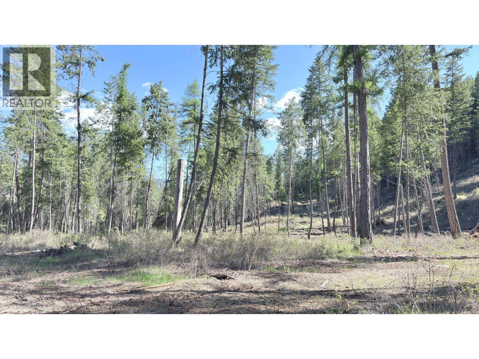 5600 Christian Valley Road, Westbridge, British Columbia  V0H 1Y0 - Photo 9 - 10374716