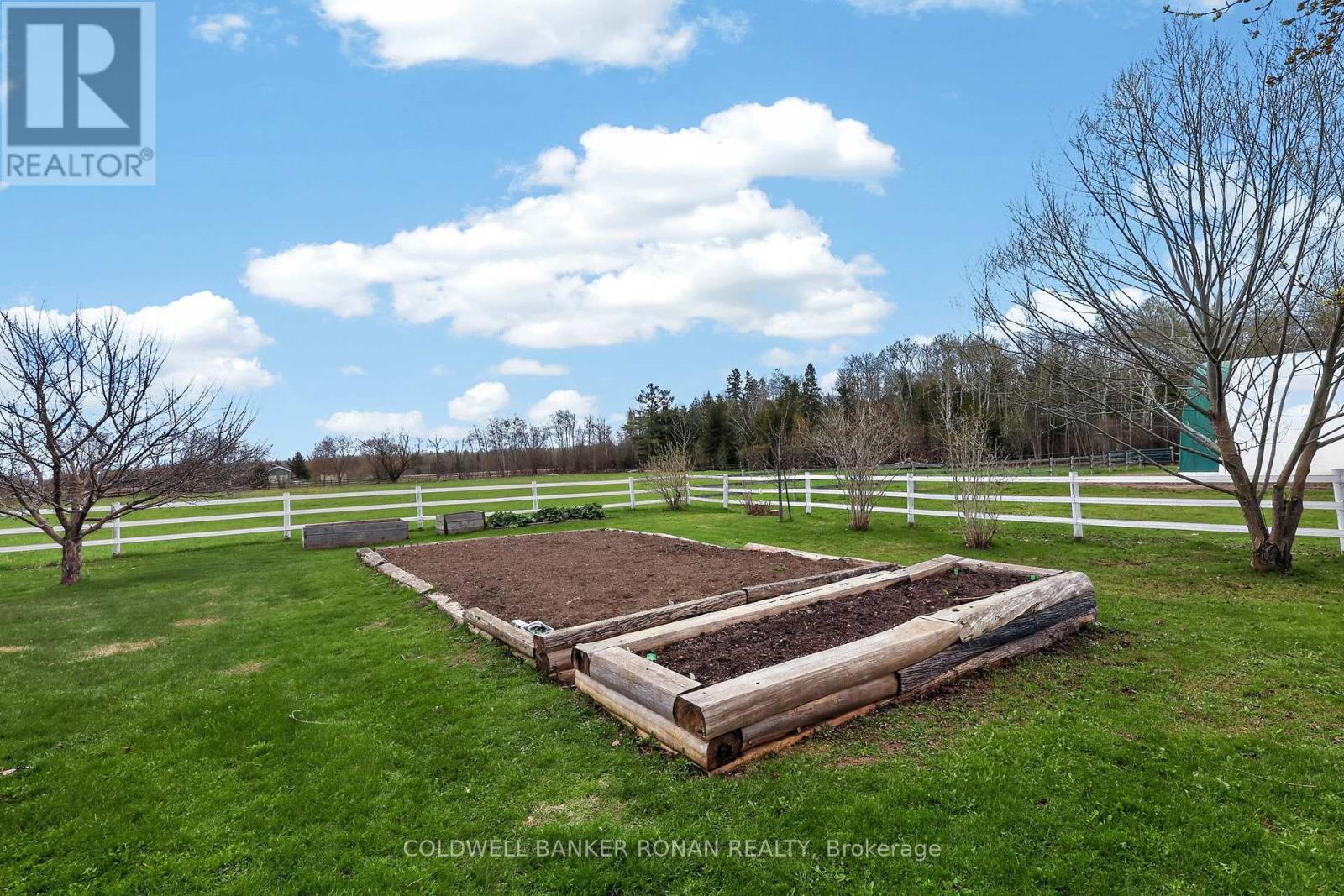 5321 Concession 7, Clearview, Ontario  L0M 1N0 - Photo 40 - S13085522