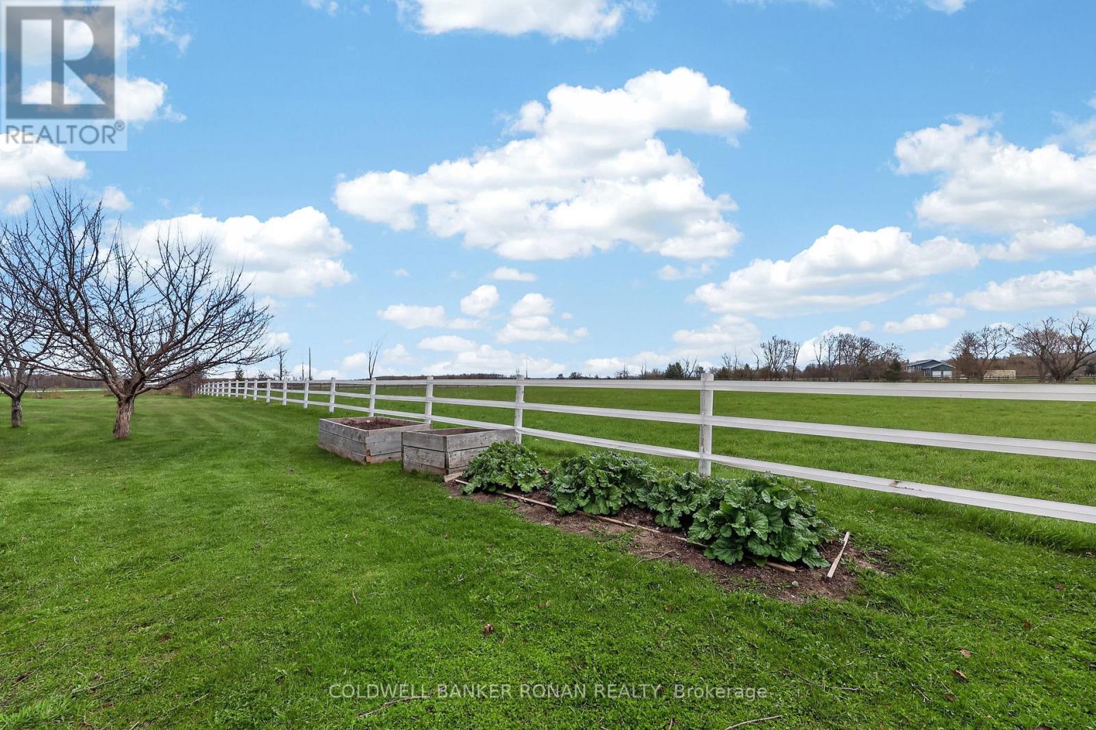 5321 Concession 7, Clearview, Ontario  L0M 1N0 - Photo 41 - S13085522