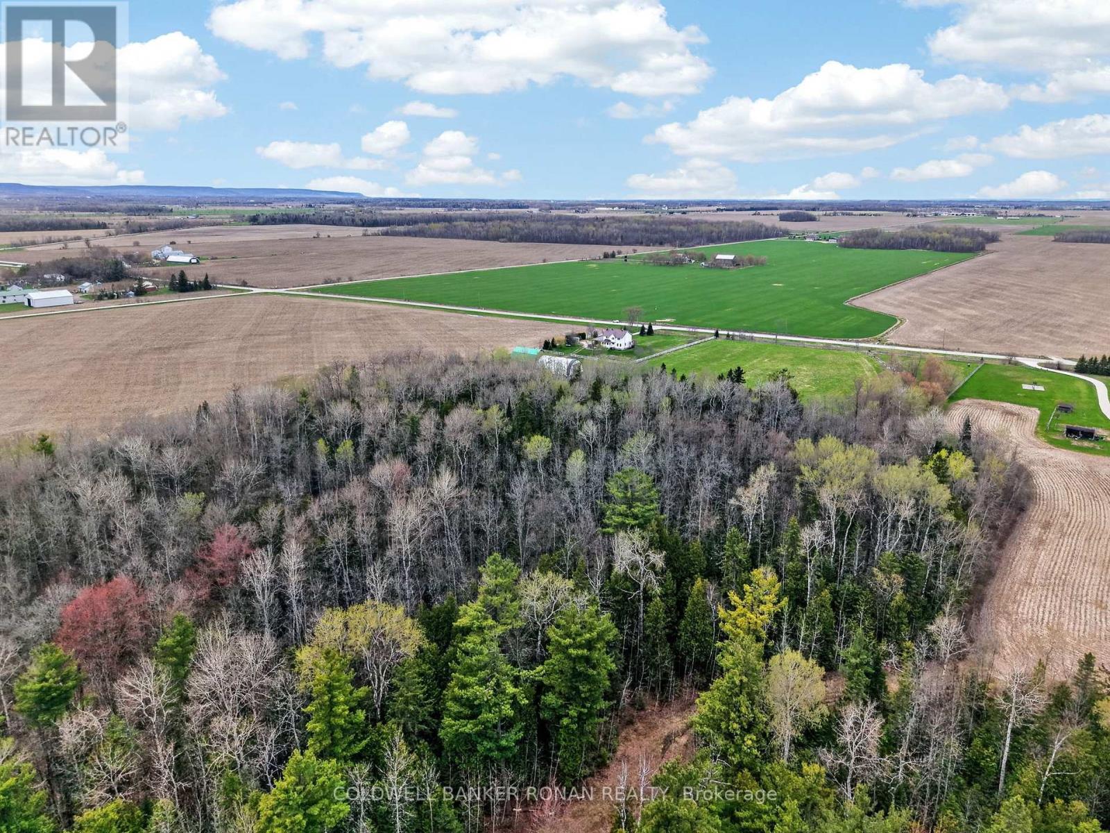 5321 Concession 7, Clearview, Ontario  L0M 1N0 - Photo 49 - S13085522