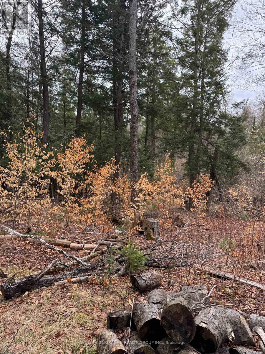 508 Schutt Road, Brudenell, Ontario  K0J 2E0 - Photo 16 - X13085748