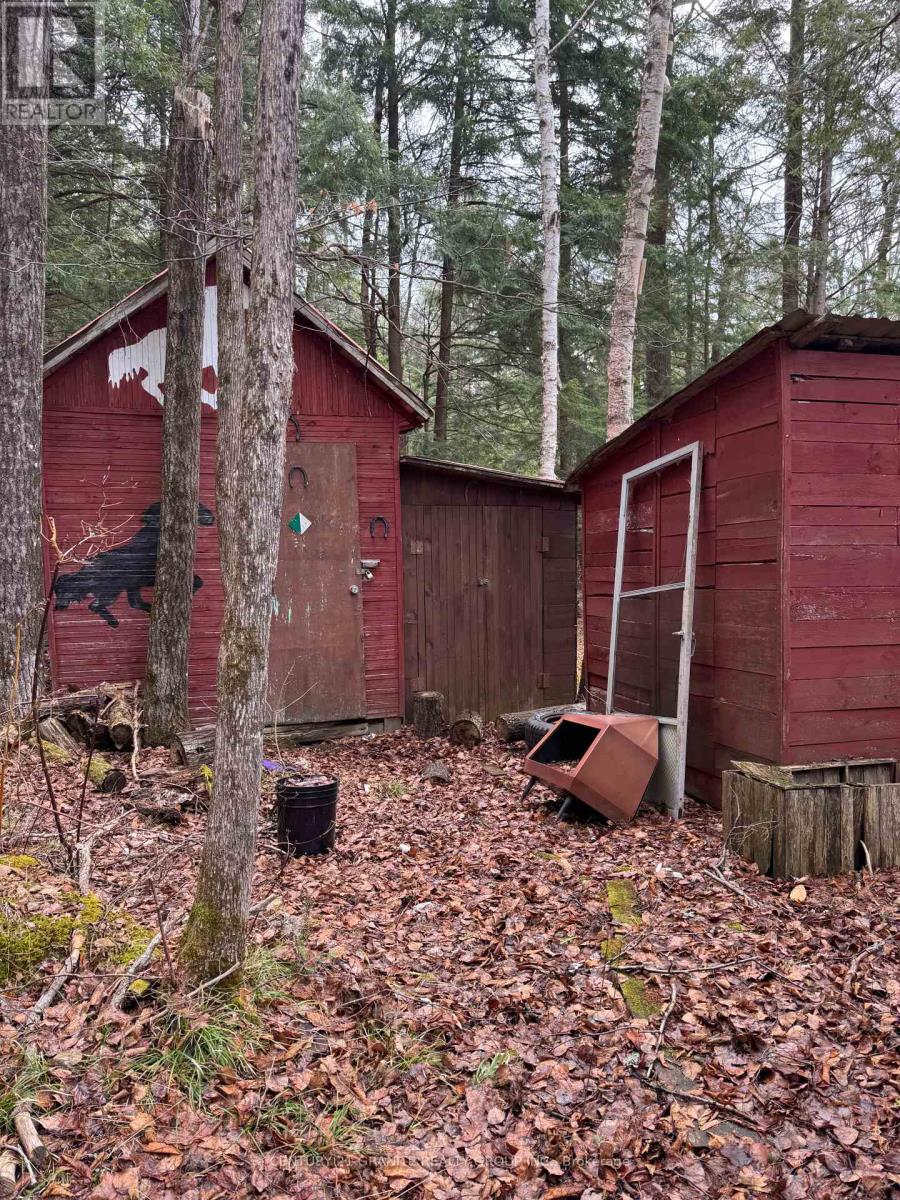 508 Schutt Road, Brudenell, Ontario  K0J 2E0 - Photo 18 - X13085748