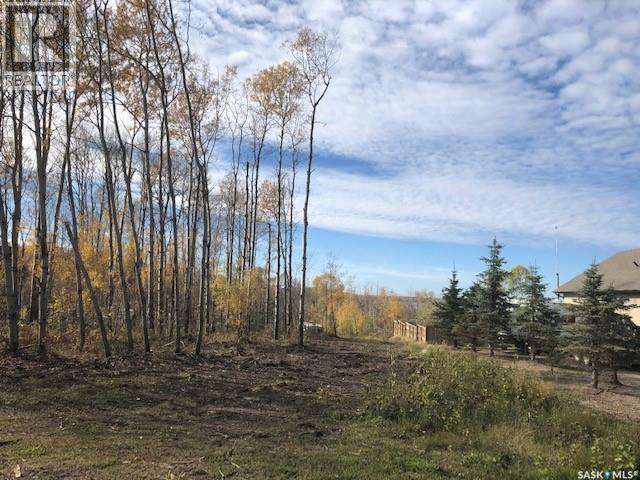 520 Diamond Willow DRIVE, goodsoil, Saskatchewan