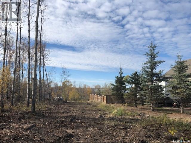 520 Diamond Willow Drive, Goodsoil, Saskatchewan  S0M 1A0 - Photo 2 - SK034748