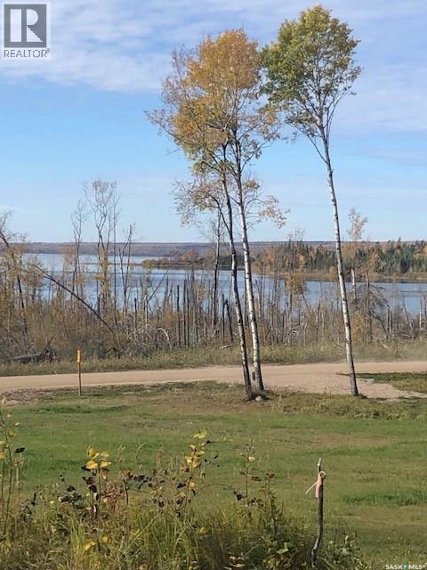 520 Diamond Willow Drive, Goodsoil, Saskatchewan  S0M 1A0 - Photo 3 - SK034748